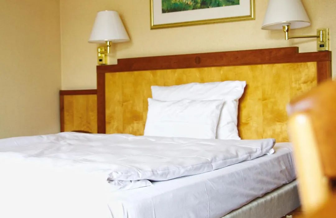 Mercure Hotel Gera City-1