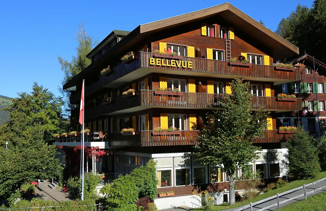 Hotel Bellevue - Traditional Swiss Hideaway-1