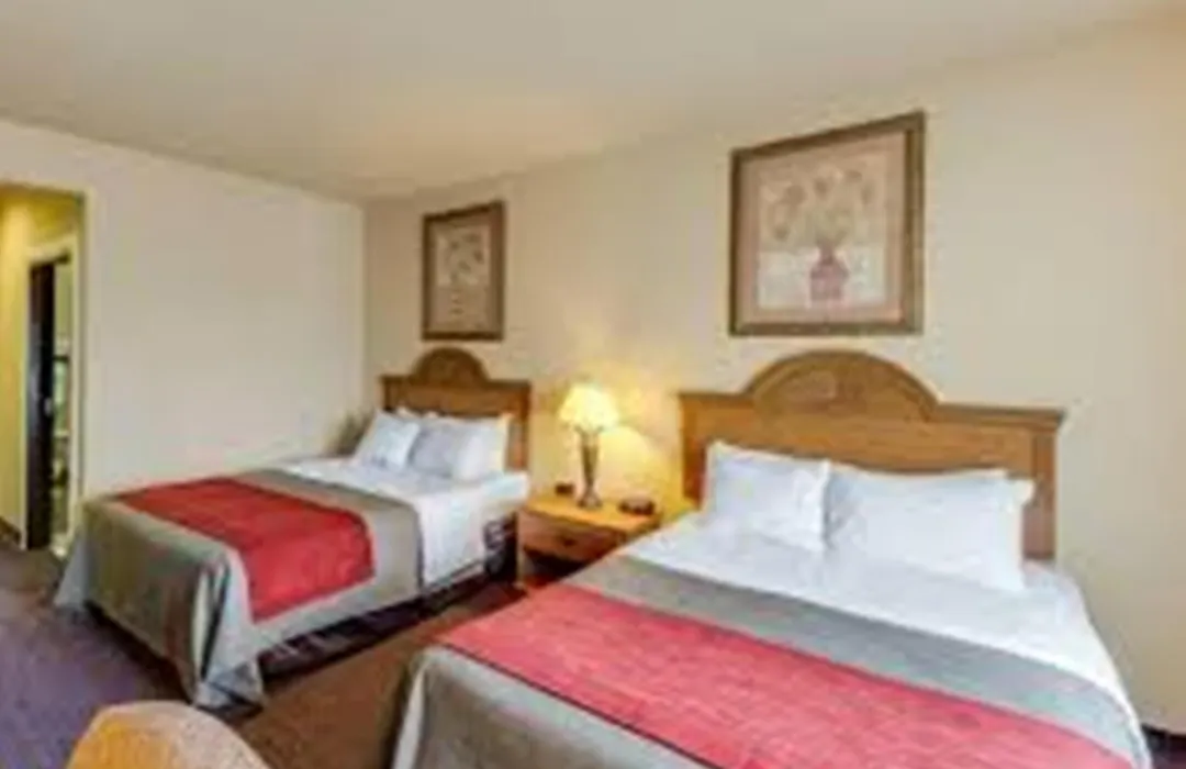 Comfort Inn & Suites Fredericksburg-1