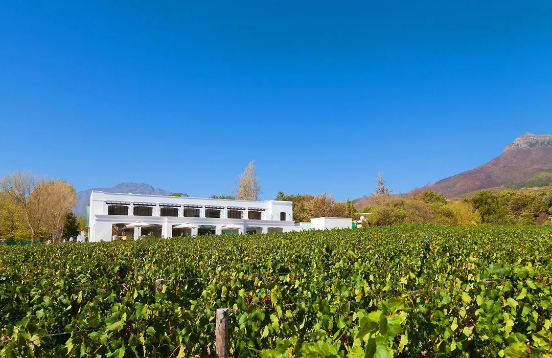 Lanzerac Hotel & Spa-1