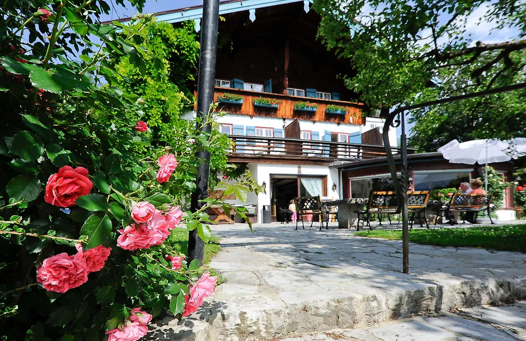 Stoll'S Hotel Alpina-1