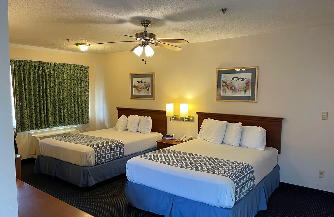 Flamingo Inn-1