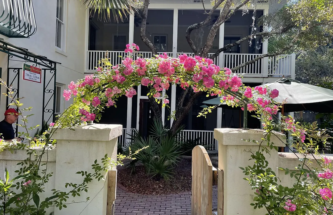 Hibiscus Coffee & Guesthouse-1