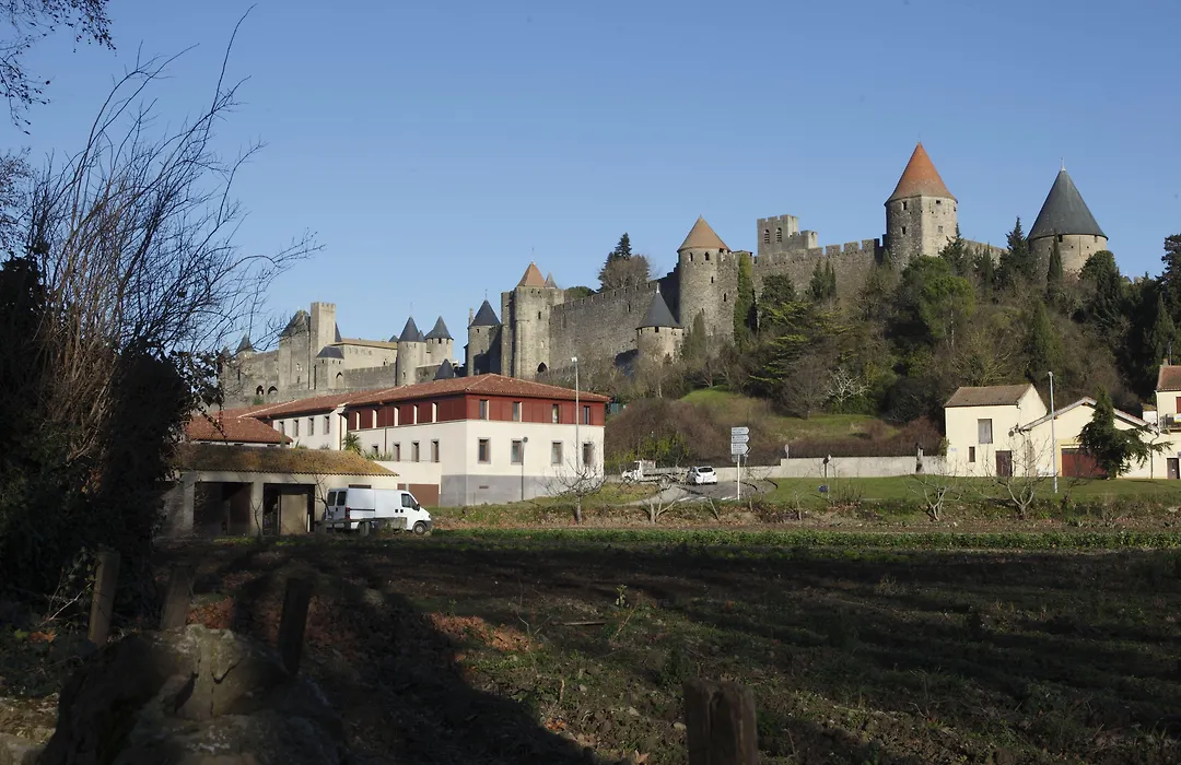 Adonis Carcassonne-1