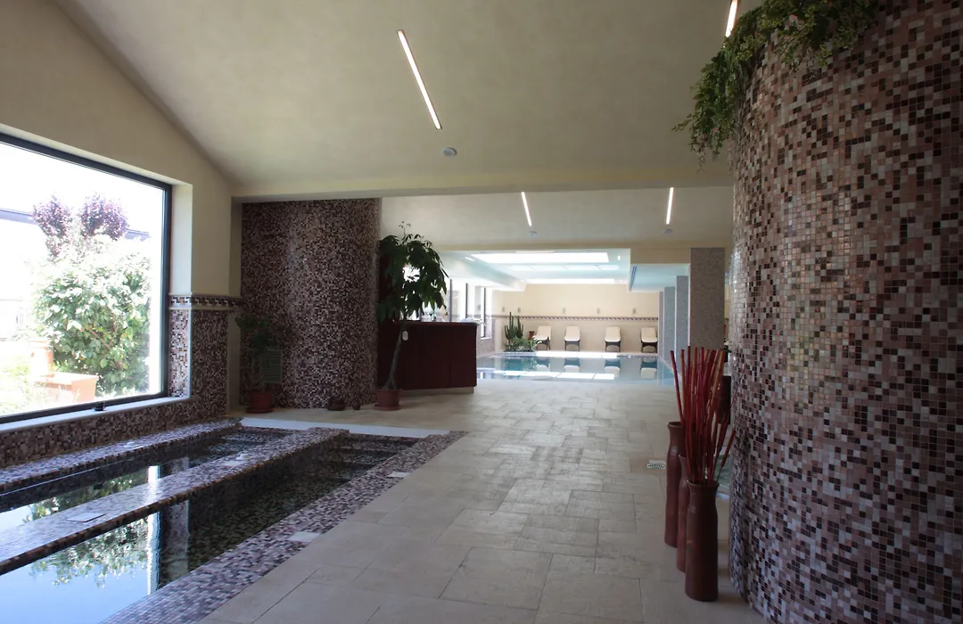 Palace Hotel San Michele-1