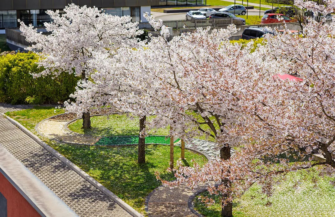 Asia Hotel&Spa Leoben-1