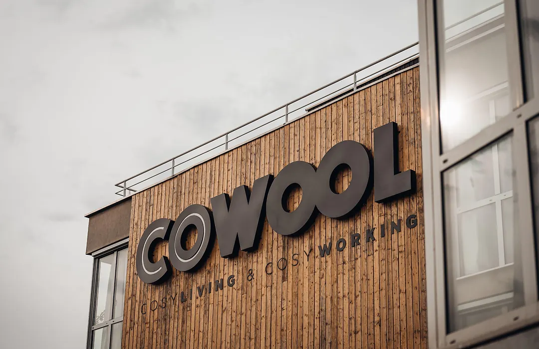 Cowool Cergy-1