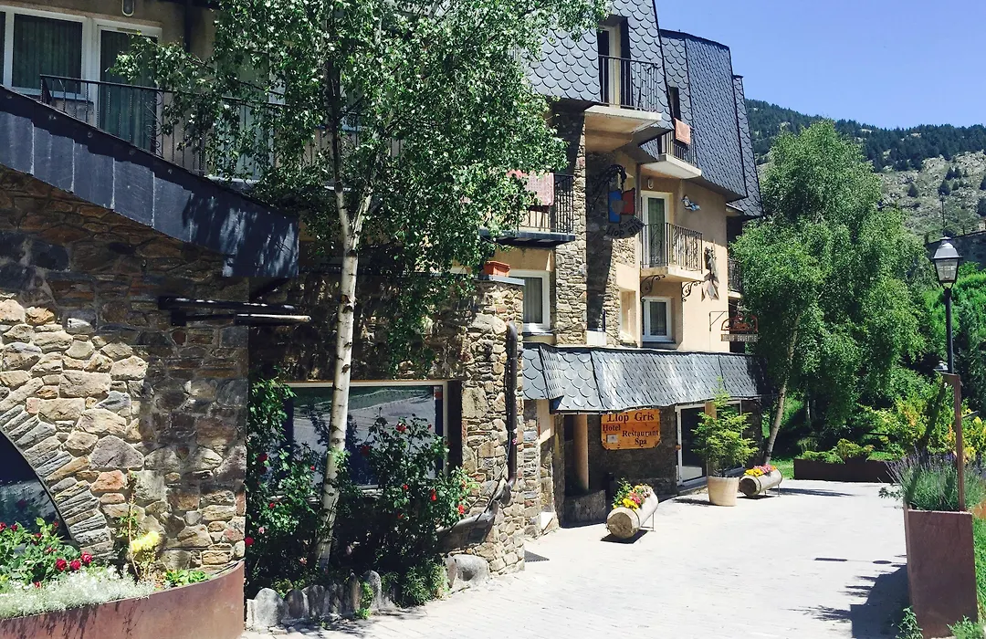 Hotel & Spa Llop Gris-1