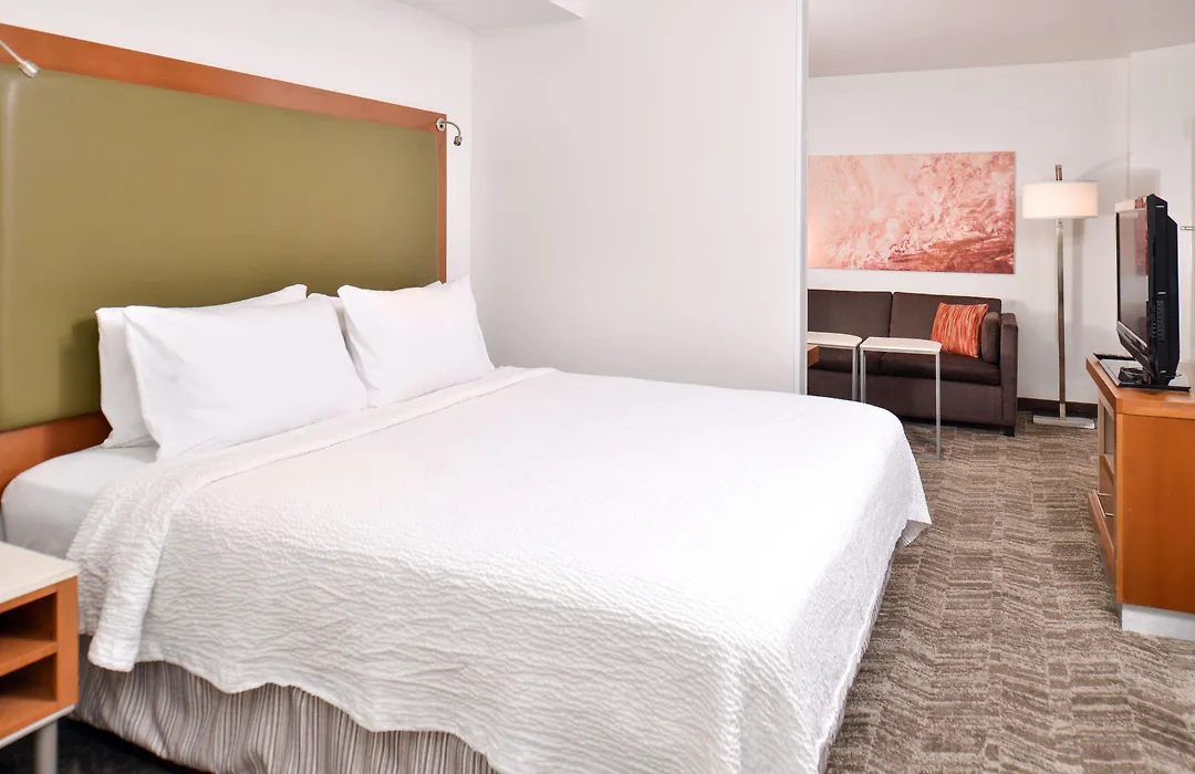 Springhill Suites By Marriott Sacramento Roseville-1
