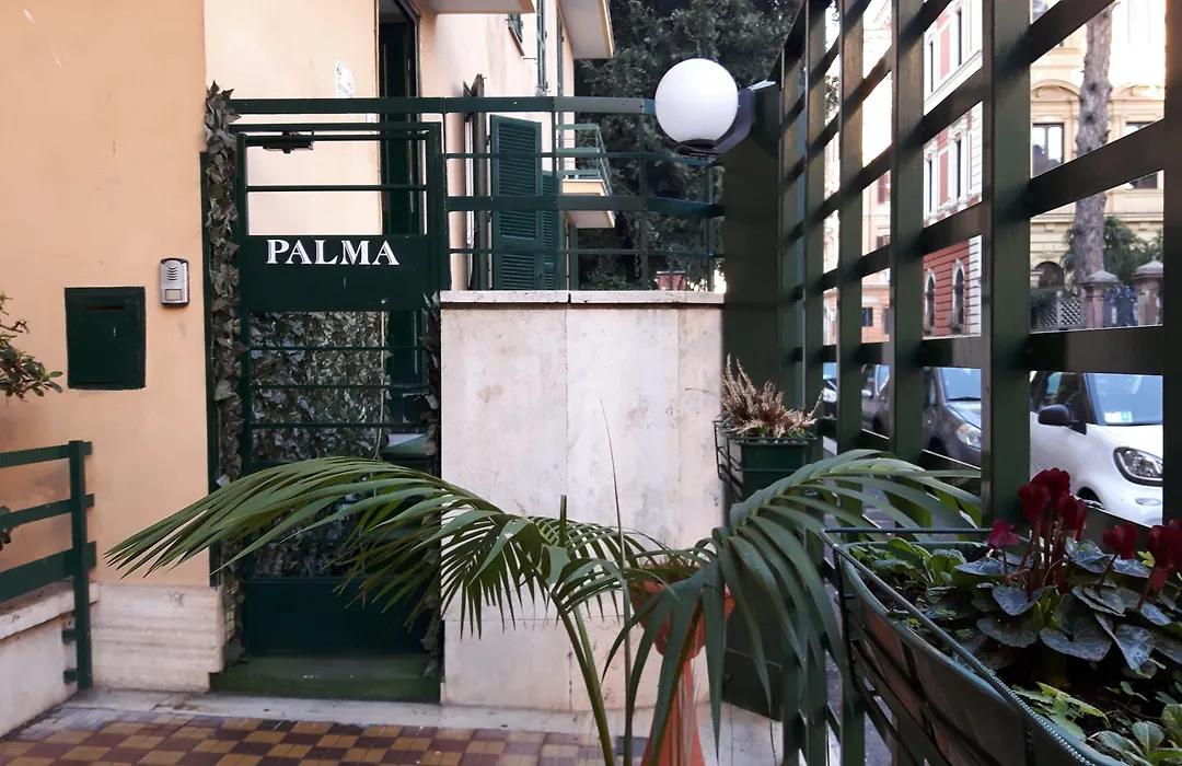 Palma-1