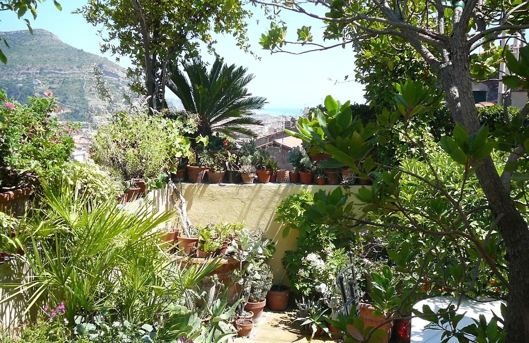 La Terrazza dei Pelargoni B&B-1