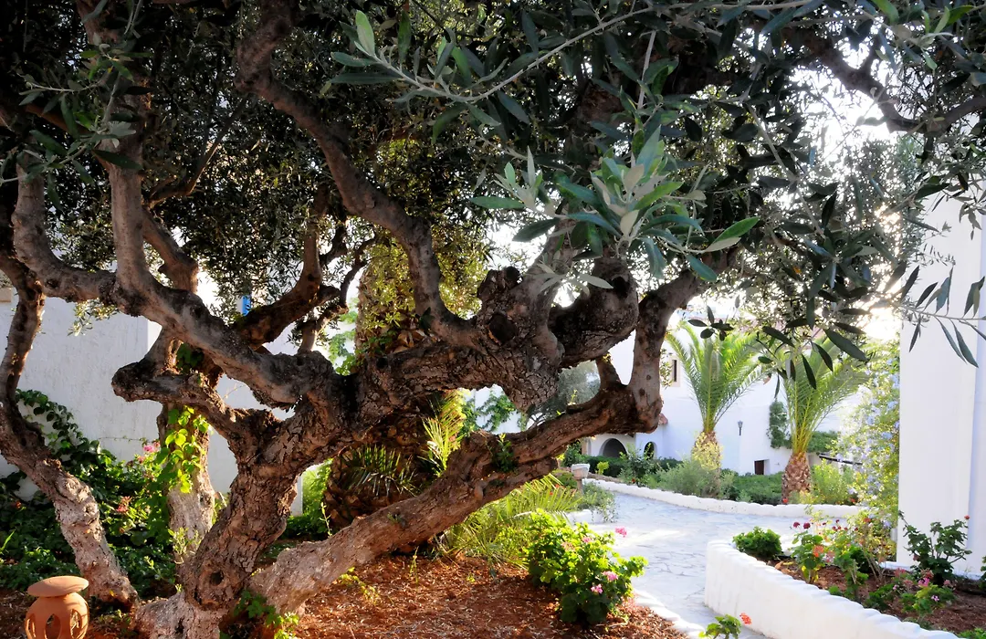Hersonissos Village Hotel & Bungalows-1