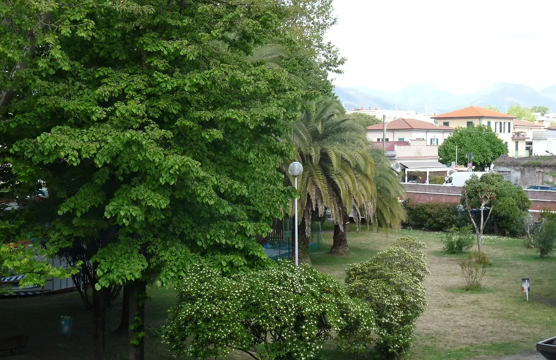 Hotel Daisy-1
