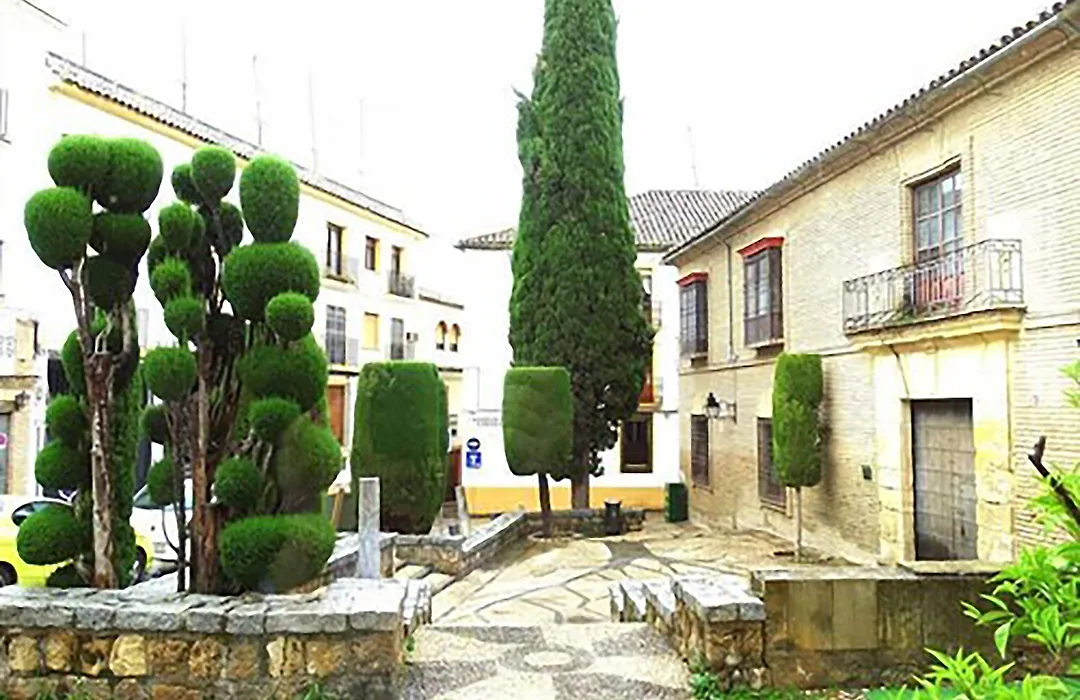 Hotel Plateros-1
