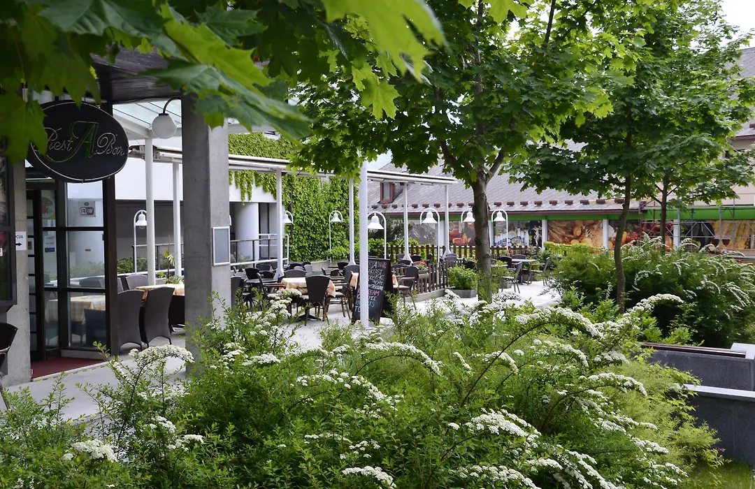 Hotel Alp-1
