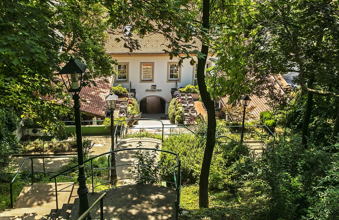 Hotel Jaegerhorn-1