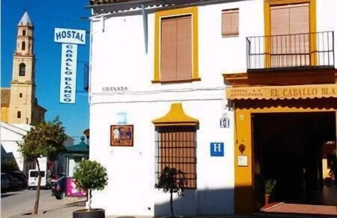 Hostal El Caballo Blanco-1