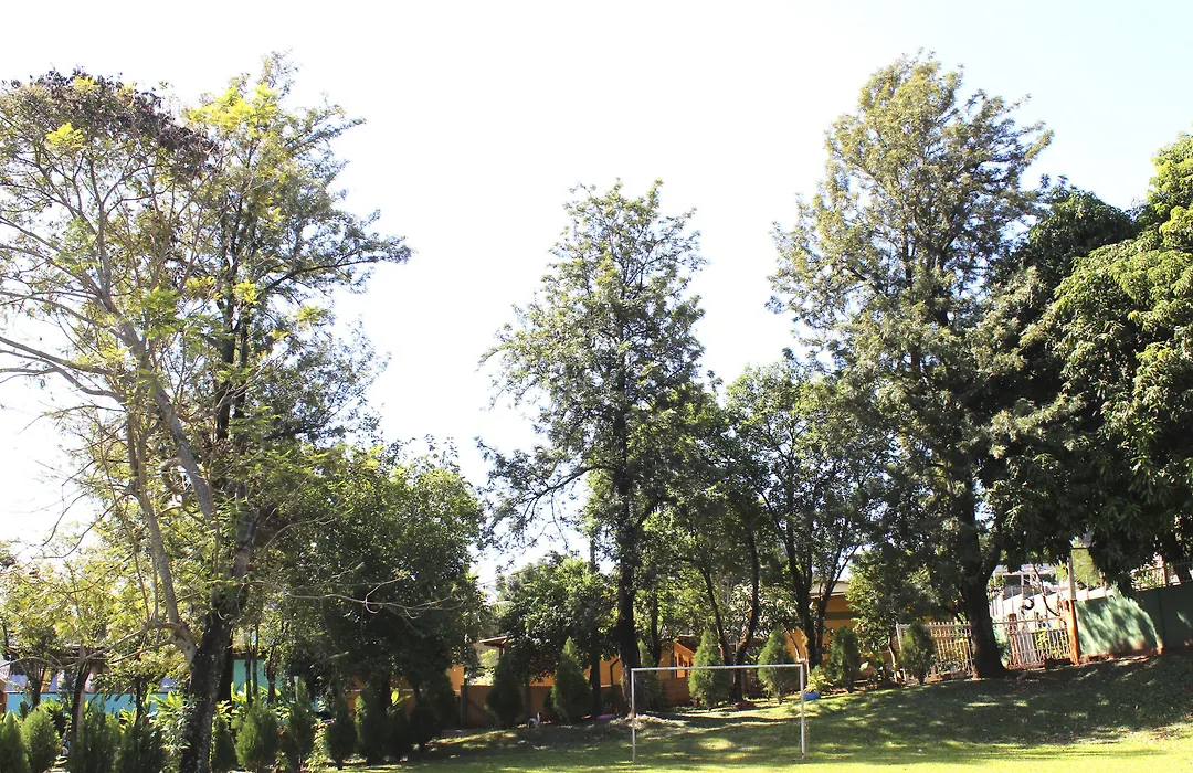 VELINN Hotel Natureza Foz-1