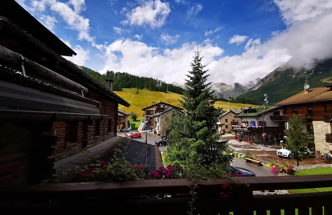Francesin Active Hotel-1