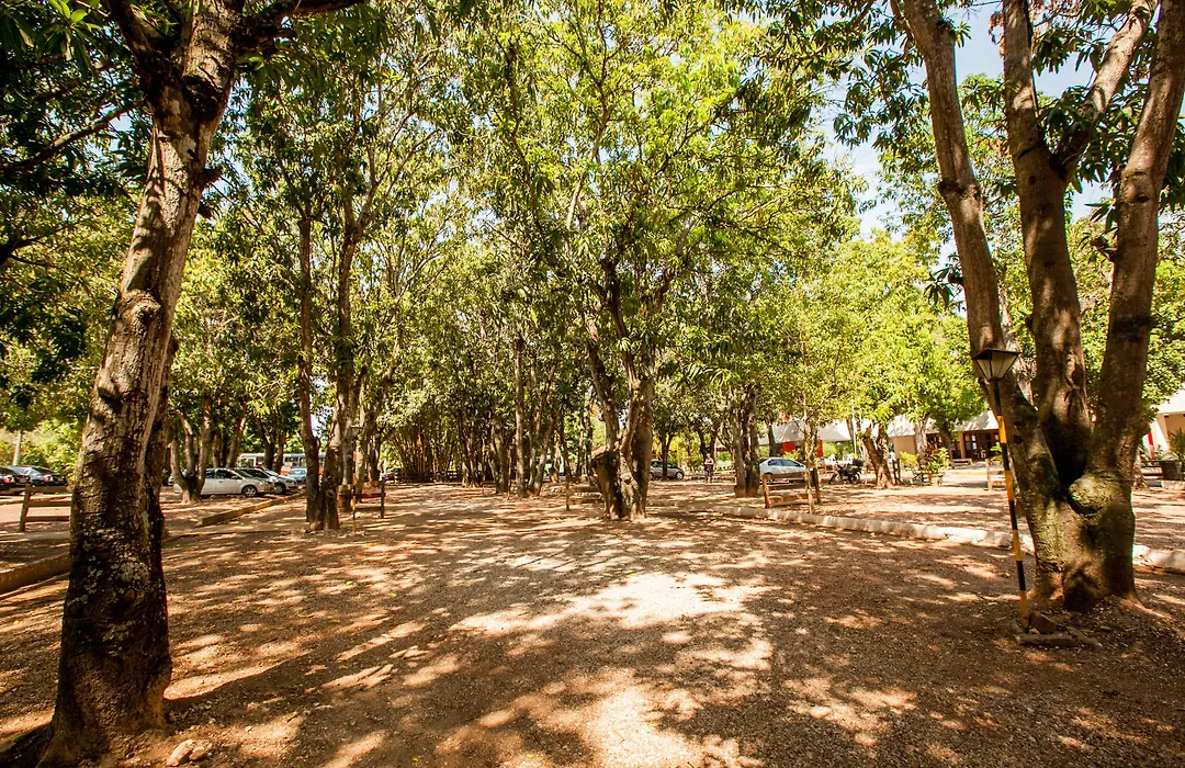 Hotel Fazenda Mato Grosso-1