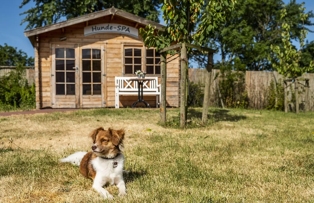 Hotel Pharisäerhof - DAS Hundehotel auf Nordstrand mit Restaurant und Café-1