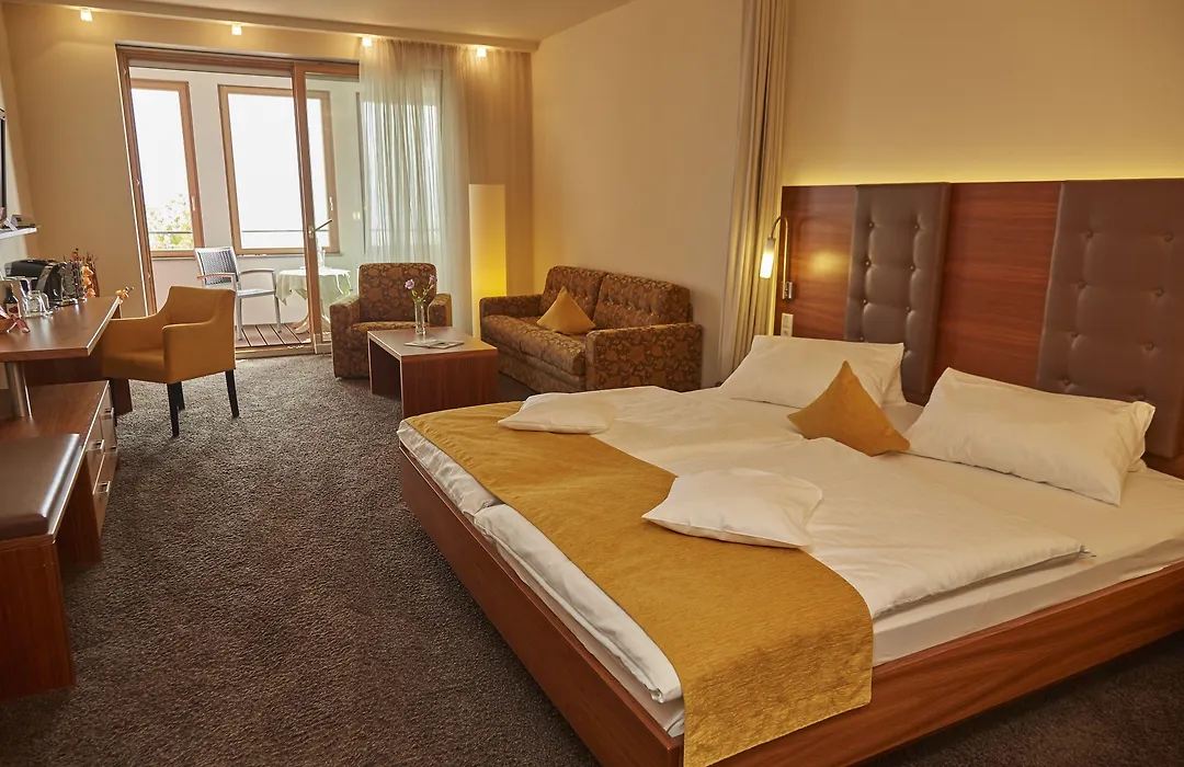 Flair Hotel zum Schiff-1