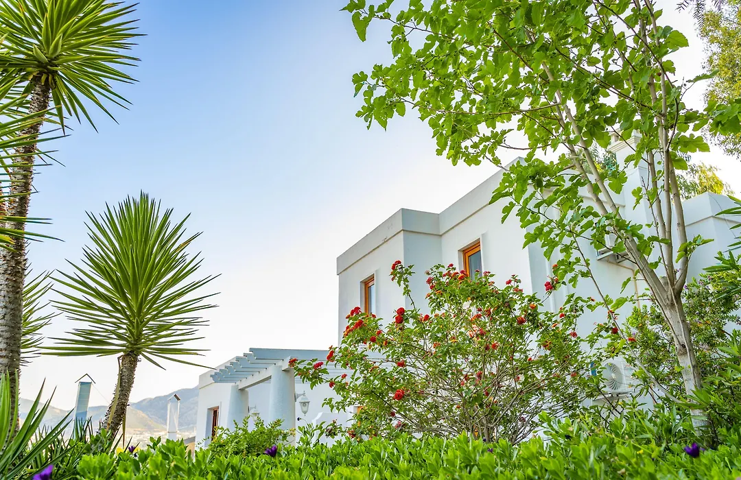Riva Bodrum Resort- Adult Only +16-1