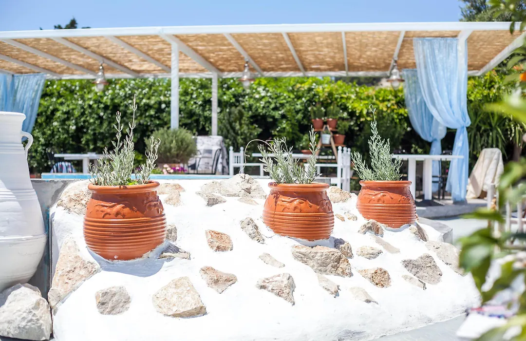 Tinas Plus Hotel-1