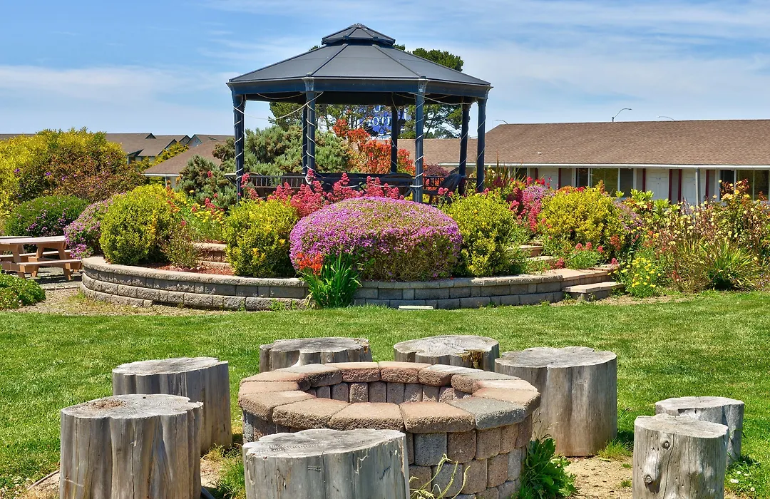Surf Motel And Gardens-1