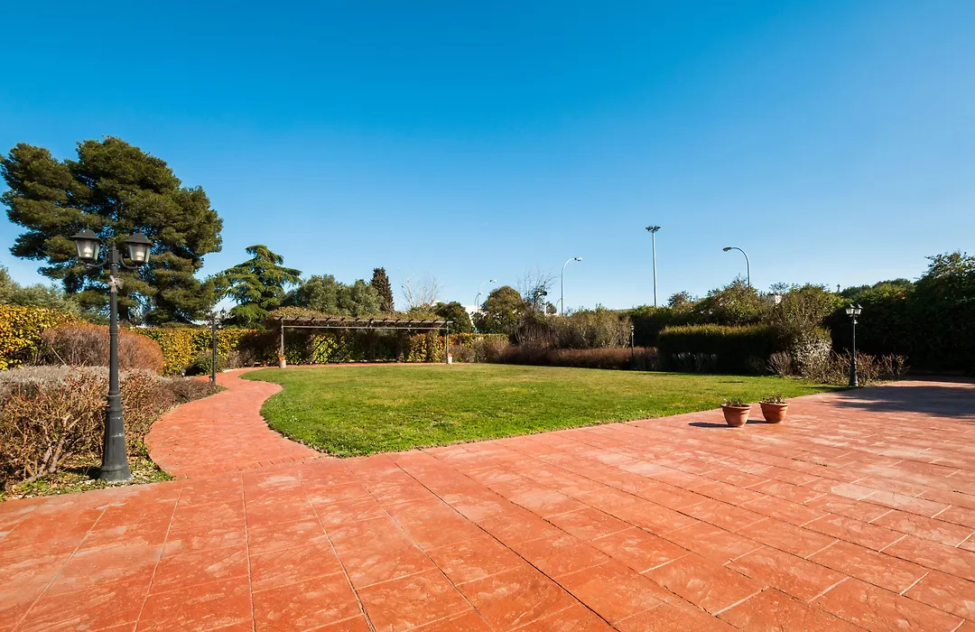 Hotel Los Olivos-1