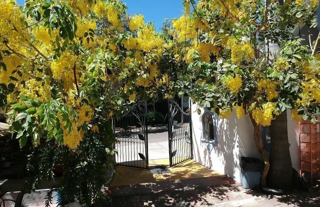 Hotel Posada Santa Fe-1