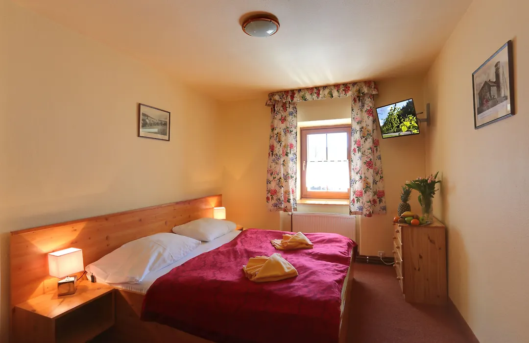 Hotel Zeleny Dum-1