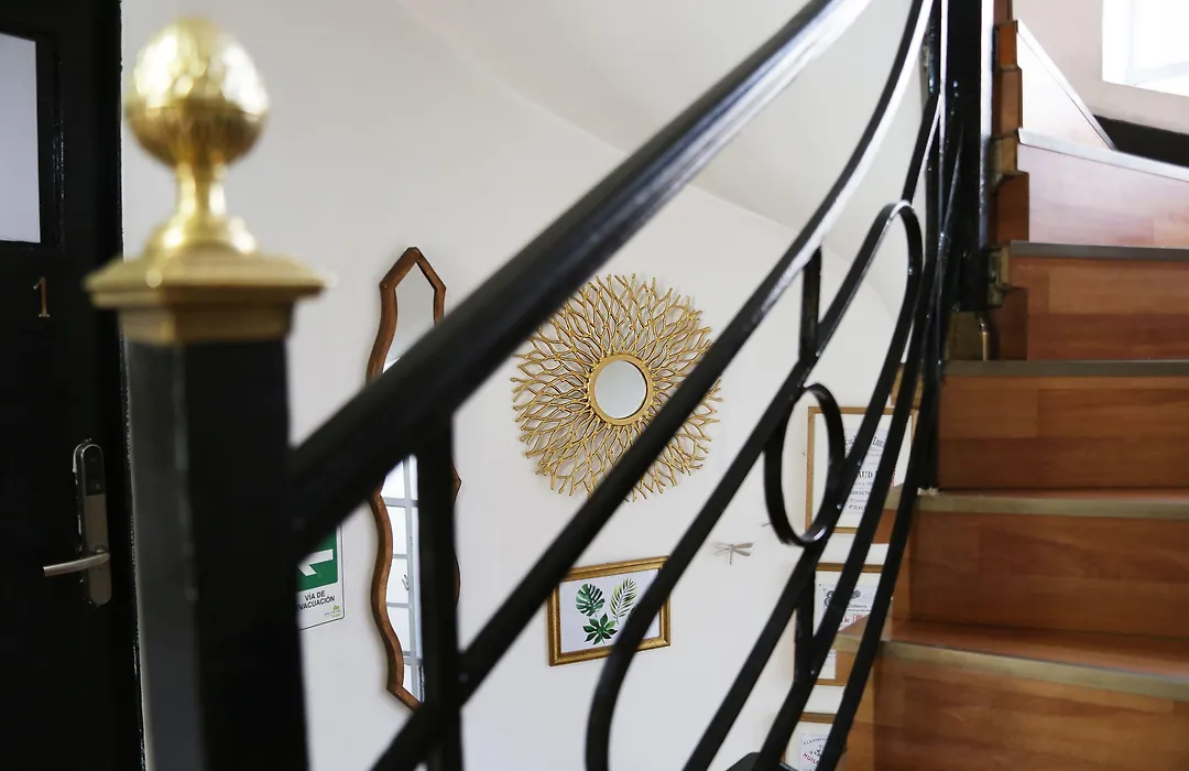 Hotel Tremo Forestal-1