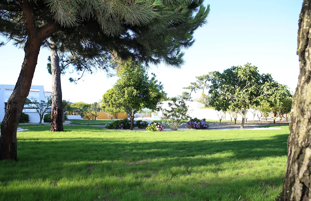 Vila Louro-1