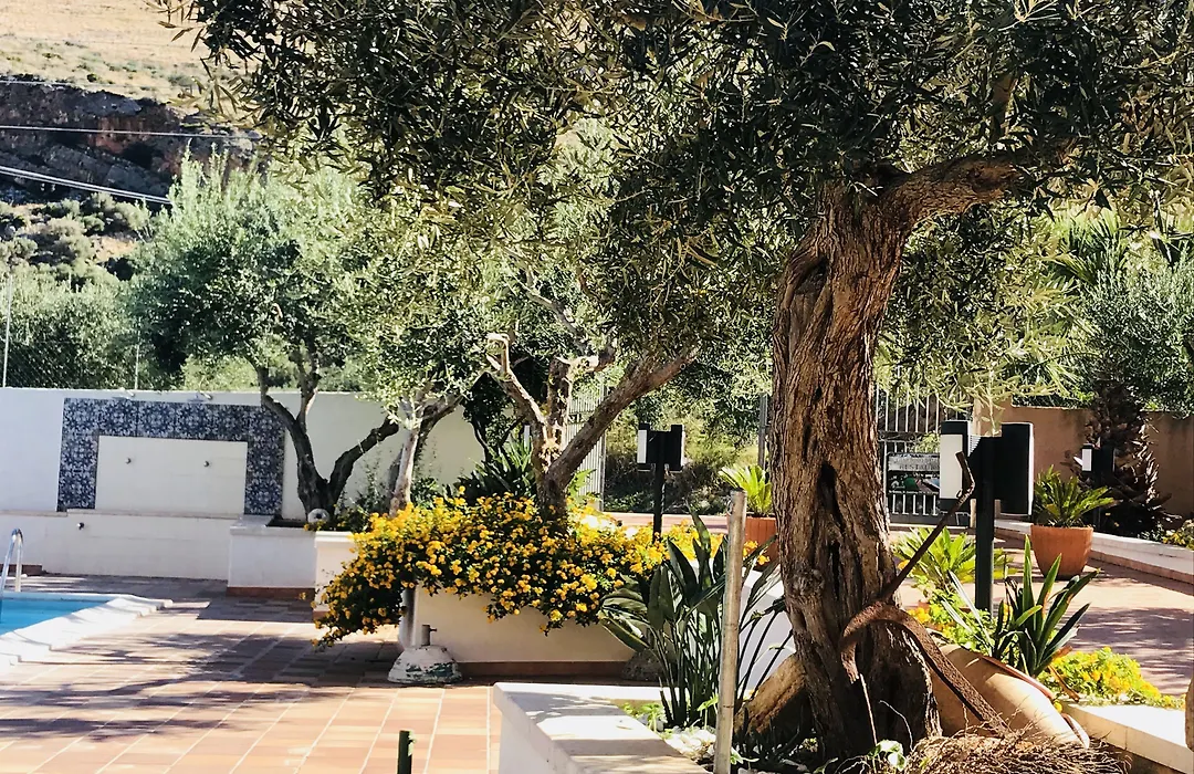 Hotel Achibea-1