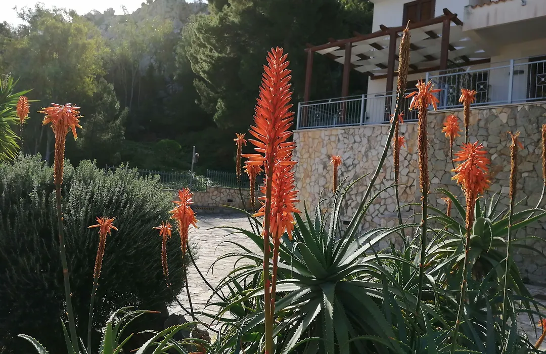 Albergo Auralba-1
