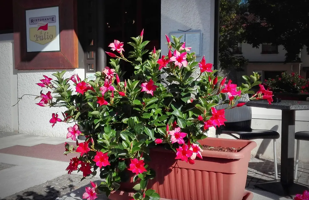 Hotel Casagrande-1