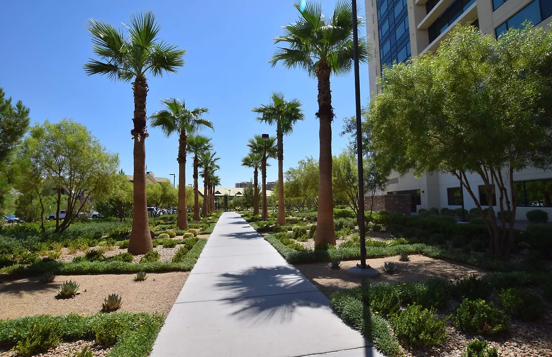 The Berkley, Las Vegas-1