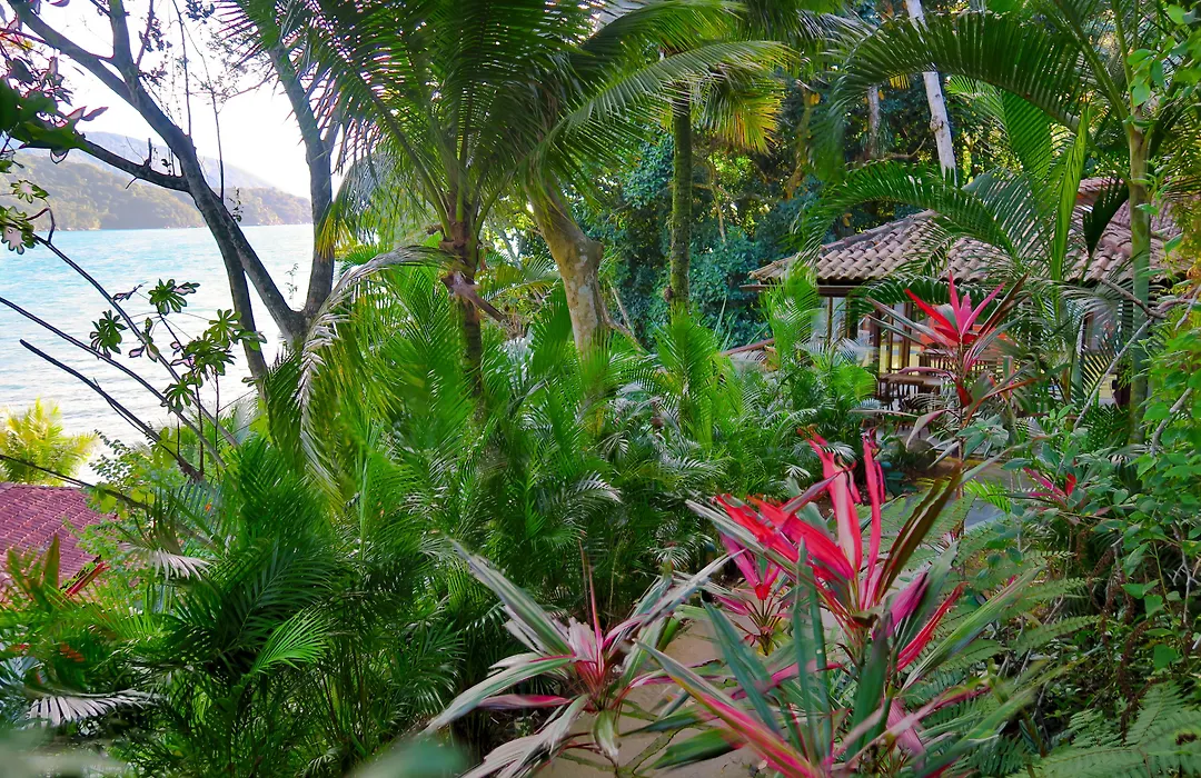 Atlantica Jungle Lodge-1
