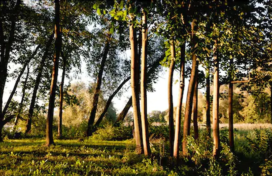 Landgut Nedlitz, Aryurveda & Gesundheit Hotel-1