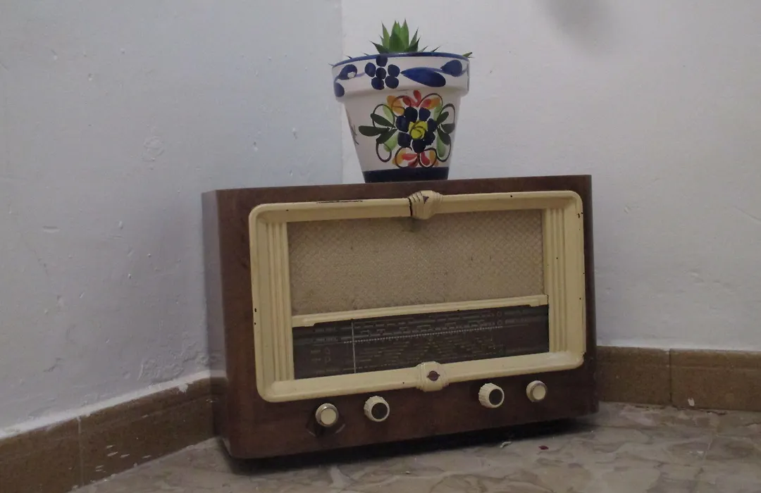 Hostal los Aromas-1