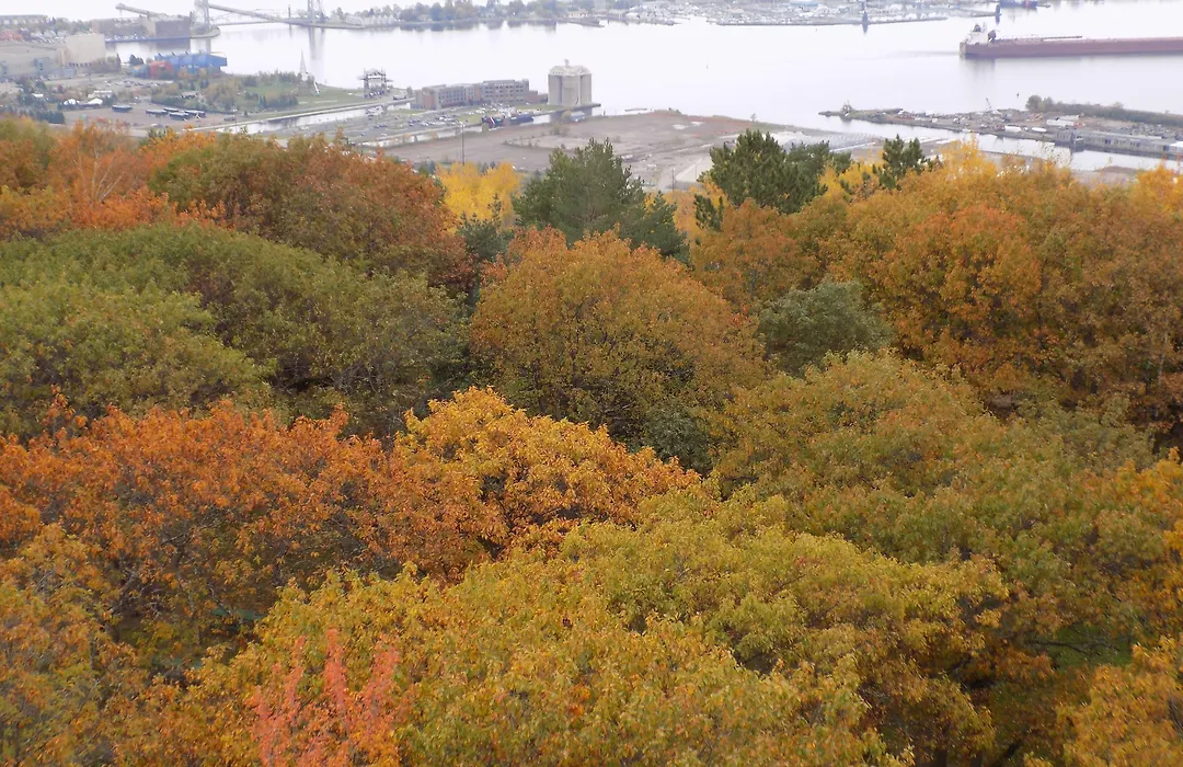 Fairfield Inn & Suites By Marriott Duluth Waterfront-1