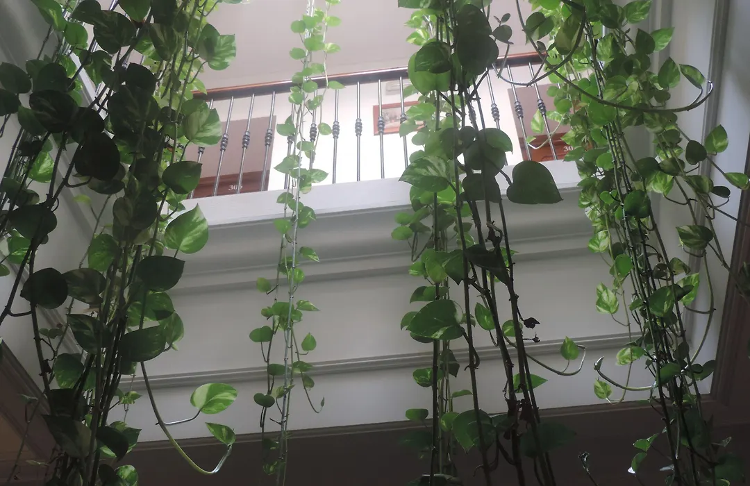 Hostal Bahía-1
