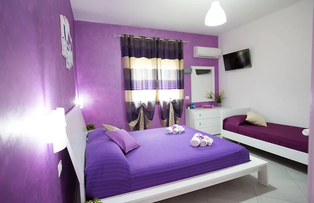 B&B Pepito-1