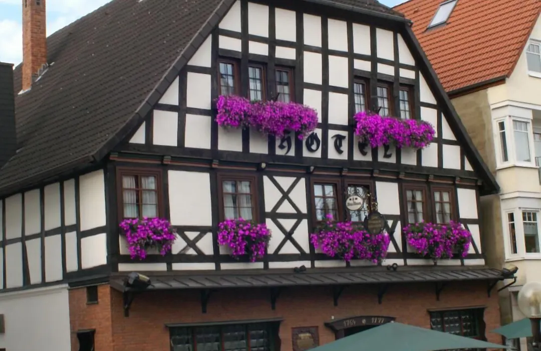 Hotel zum Braunen Hirschen-1