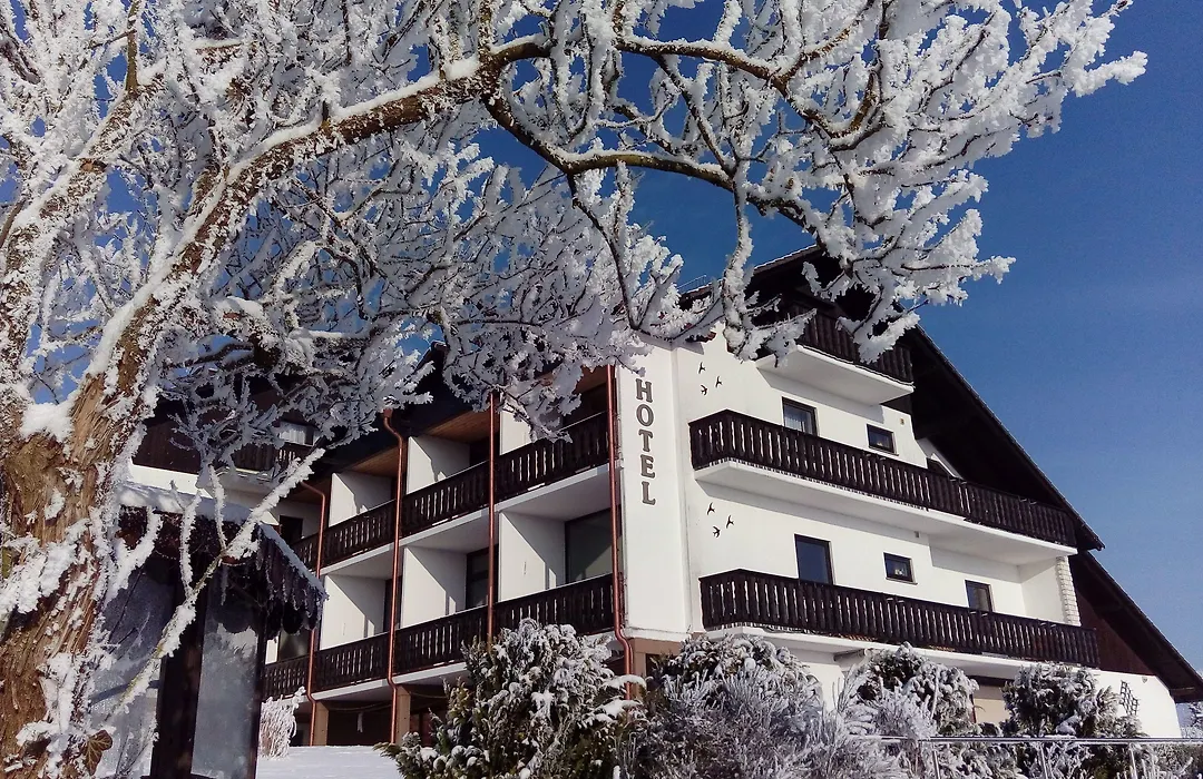 Garni Hotel&Ferienwohnungen Seeschlößchen-1