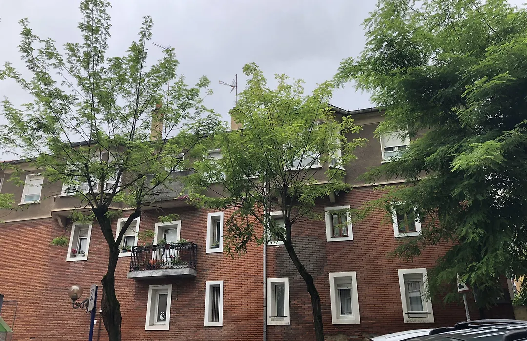 Pensión Basagoiti-1