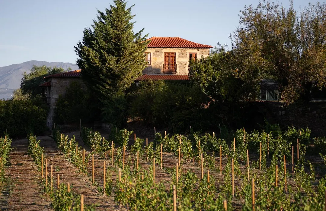 Casa De Sao Miguel Douro-1