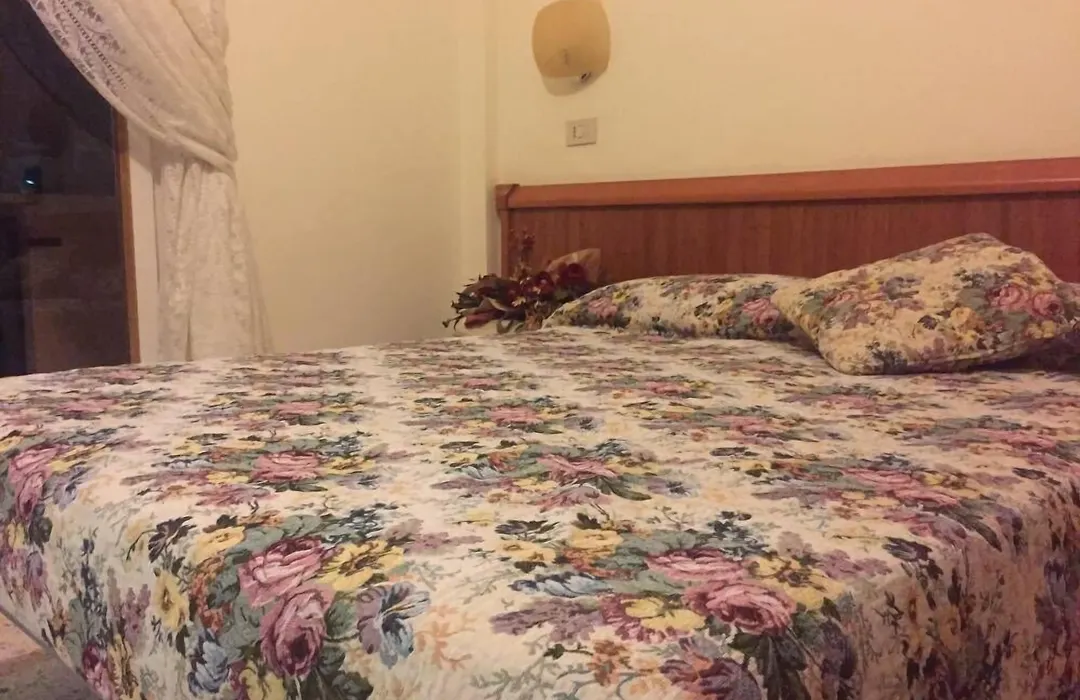 Hotel Viola-1