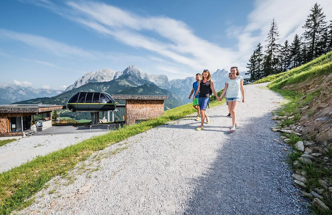 Apart Hotel Alpenhof Werfenweng-1